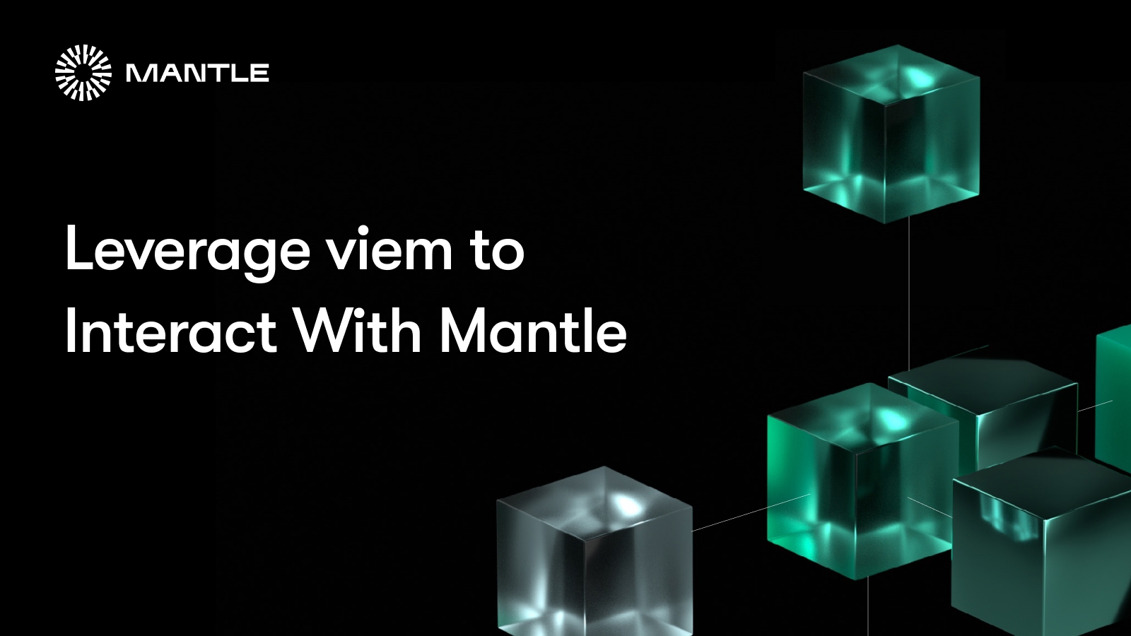 Interacting with Mantle using viem